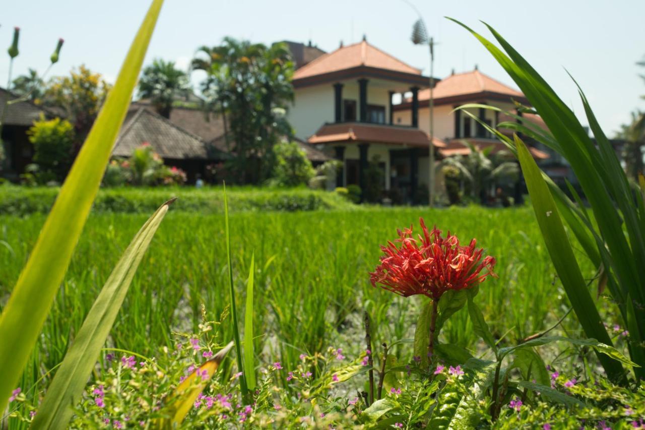 Puji Hostel And Bungalow Ubud Exterior foto